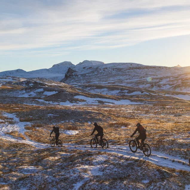 piggdekk Tromsø
