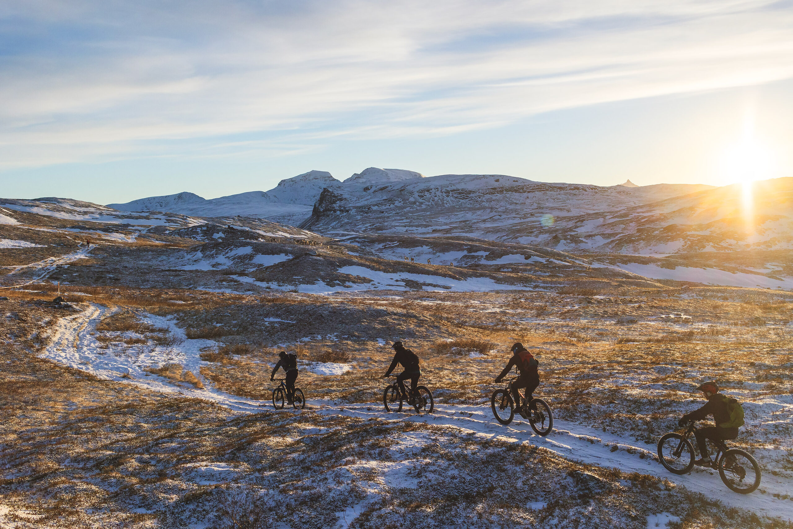 piggdekk Tromsø
